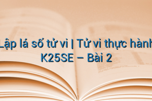 Lập lá số tử vi | Tử vi thực hành K25SE – Bài 2