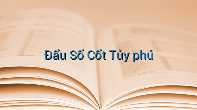 Đẩu Số Cốt Tủy phú