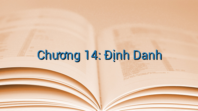 Chương 14: Định Danh