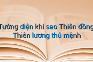 Tướng diện khi sao Thiên đồng, Thiên lương thủ mệnh